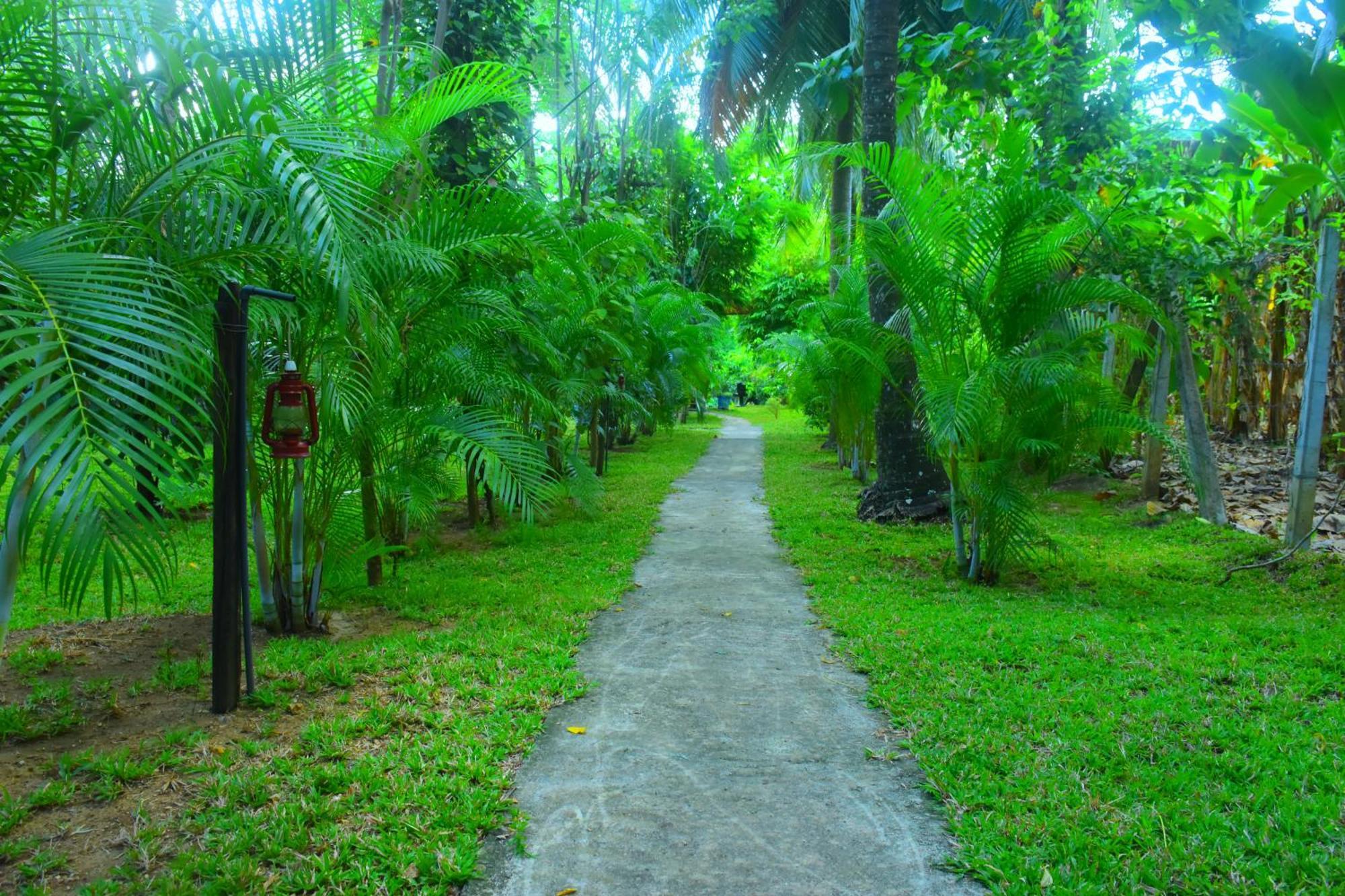 Wild Lake Side Udawalawe Exterior photo